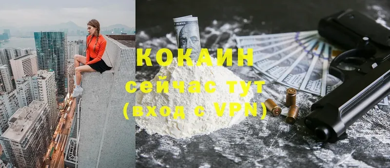 COCAIN FishScale Ярославль