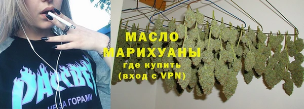 крисы Бронницы