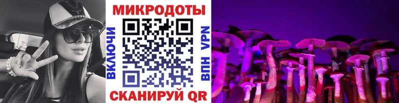 Галлюциногенные грибы Cubensis  Ярославль 