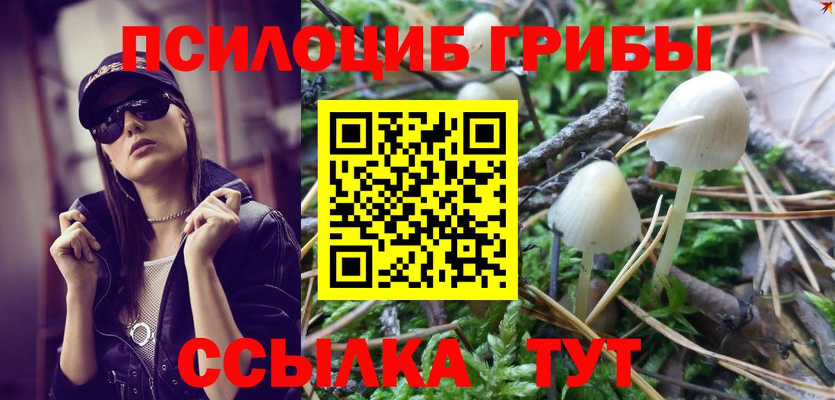 Псилоцибиновые грибы ЛСД  Вход с VPN  Ярославль 